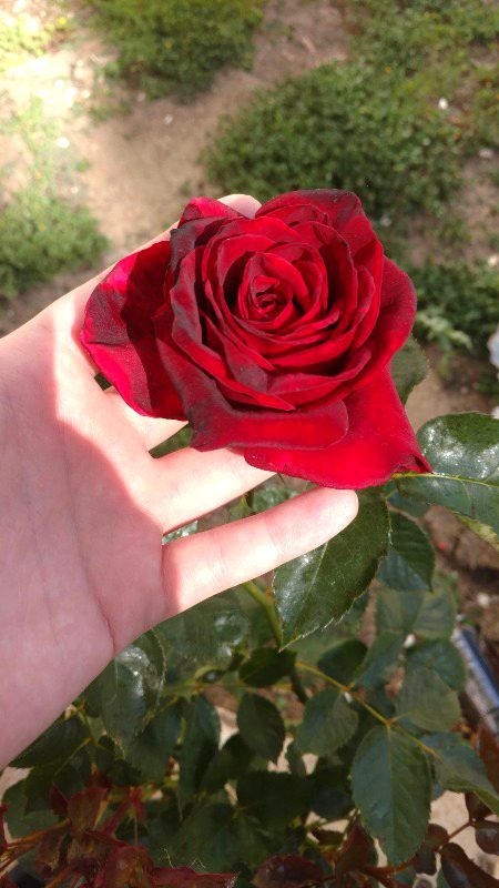 Beautiful😍