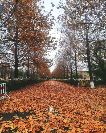 University Now days 🙂👀