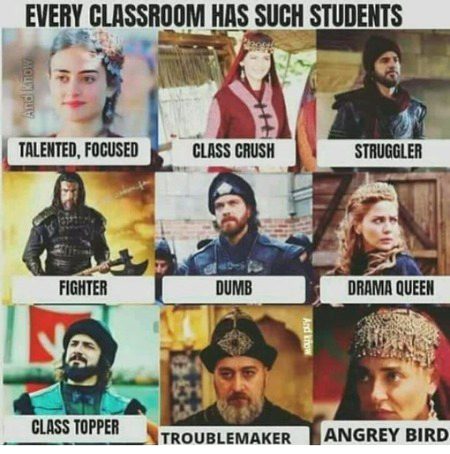 Which type of you were?