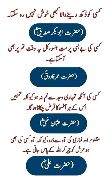 True lines.....💫💫