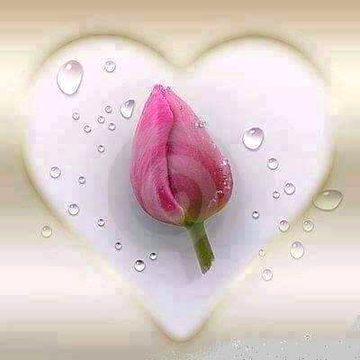 نہ سوالِ وصل، نہ عرضِ غم
، نہ حکایتیں نہ شکایتیں___

تیرے عہد میں دلِ زار کے ۔۔
سبھی اختیار چلے گئے____