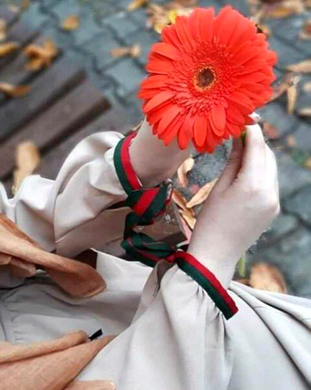 بے حساب حسرتیں نا پالیے جو ملا اسے سنبھالیے۔