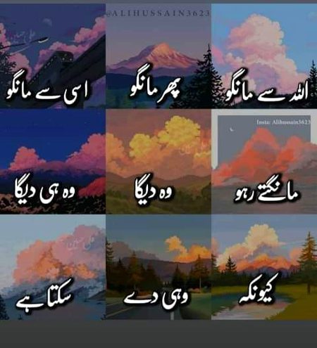 💕💕💕💖💖💕💕💕