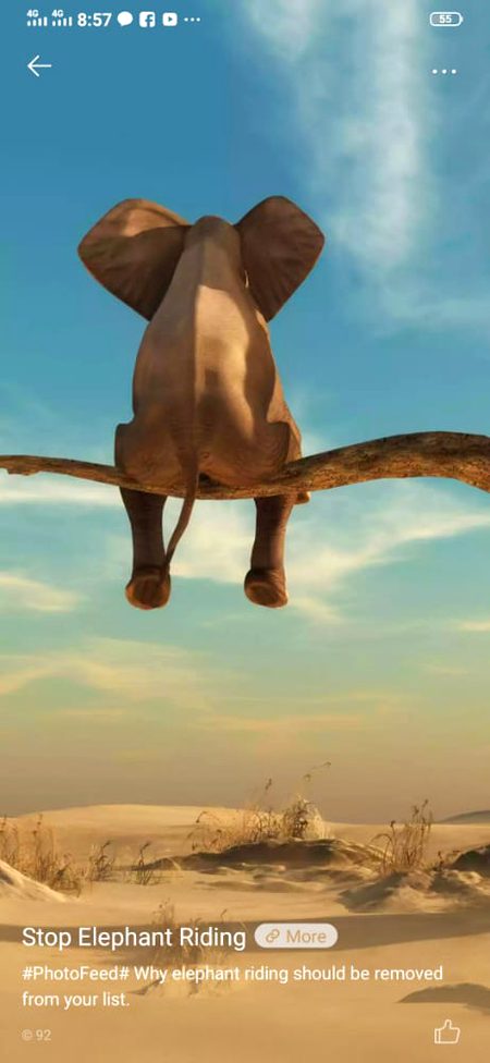 Elephent ....