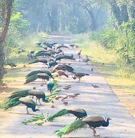 Beautiful Nature image