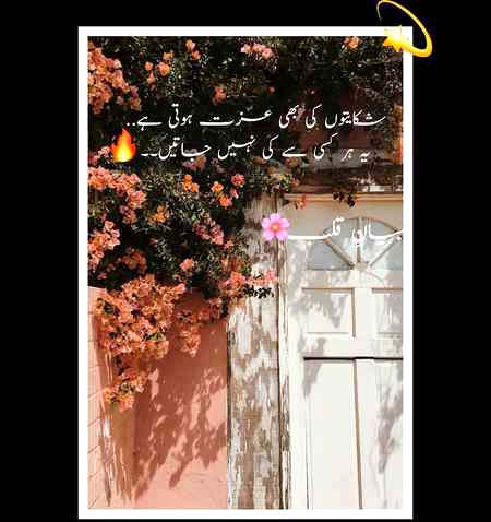 TRUE WORDS