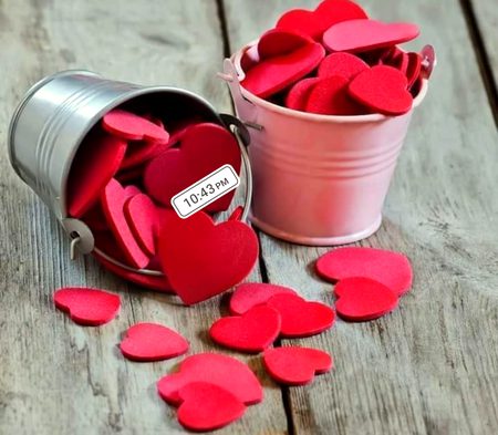 nice look of beautiful followers....