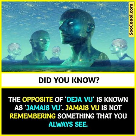 Did you Know