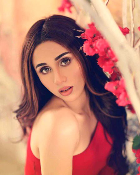 Pakistani Celebs image