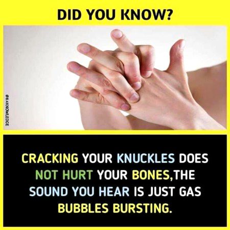 Did you know?