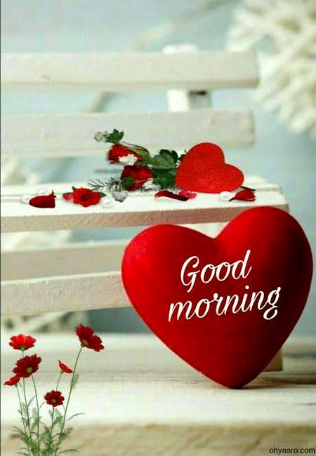 Have a nice day to all of you 💞 💞