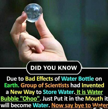 Did you Know