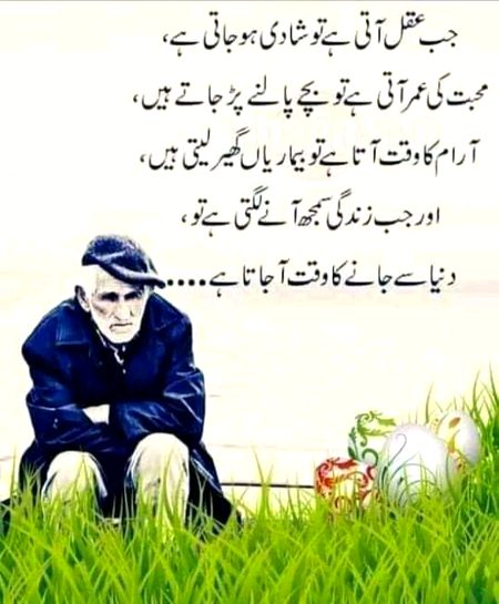 زندگی سمجھنے کا وقت