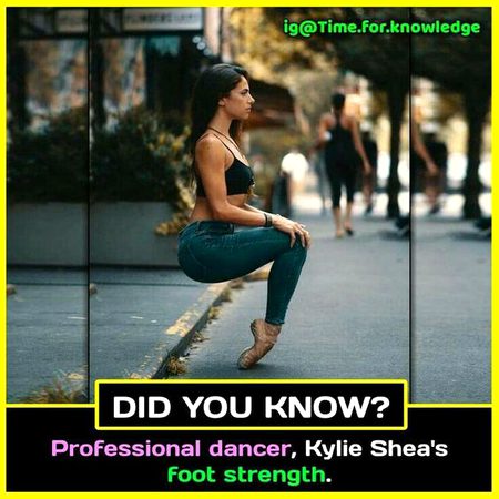 Did you Know