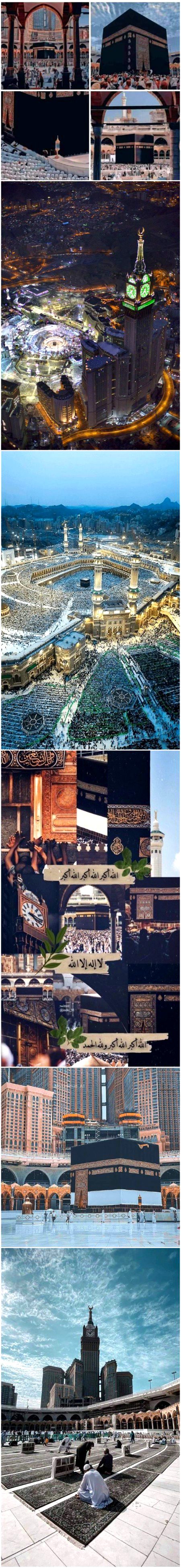 Beautiful Structures image