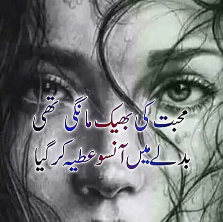 KOIE😭HY😭G😭😭😭