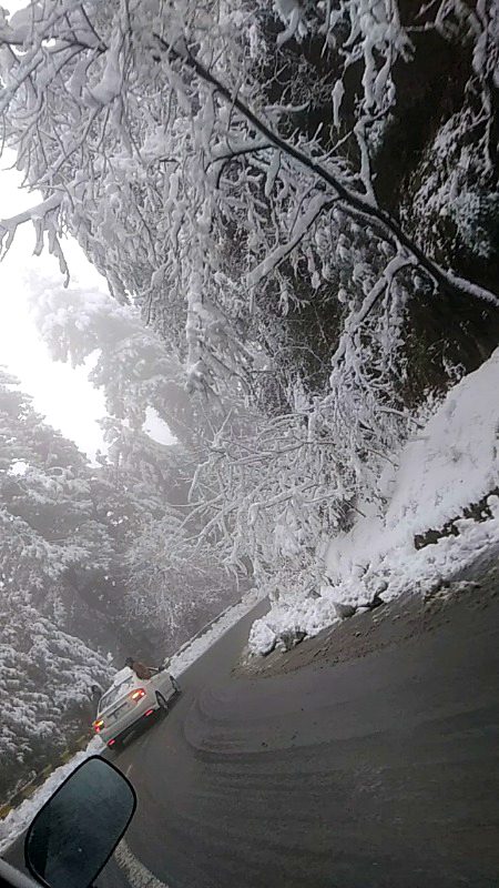 Beautiful Nature image