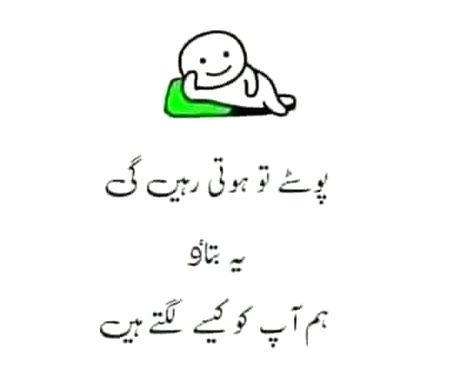 Hum apko kase lgty hn.