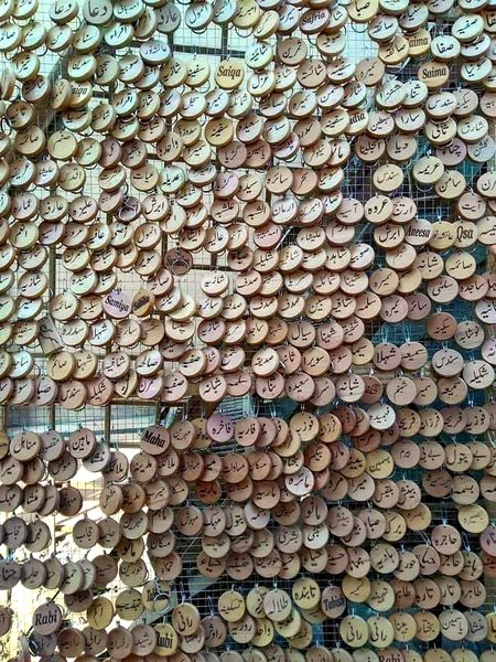 Find out your name if you can girlsss