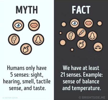 Did you Know