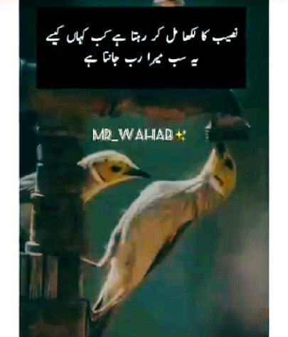 Yeah sb mera Rab janta h