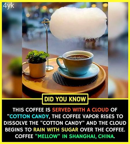 Did you know