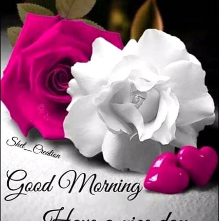 *خوشگوار اور مطمئن زندگی گزارنا چاہتے ہیں تو لوگوں*
*سے نہ جیتیں لوگوں کو جیتیں!*
*لوگوں پر نہ ہنسیں لوگوں کے ساتھ ہنسیں*
