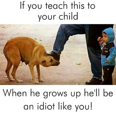 yes this true