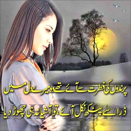 KOIE HY..G