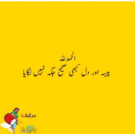 or ap ny 🤔