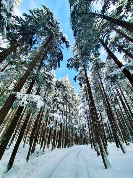 Beautiful Nature image