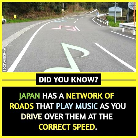 Did You Know