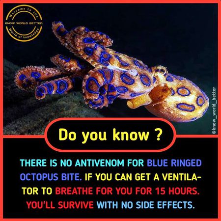 Did you Know