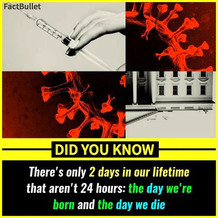 Did you Know