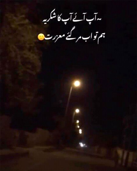 Ab to hum mar gay...