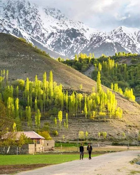 Beautiful Nature image