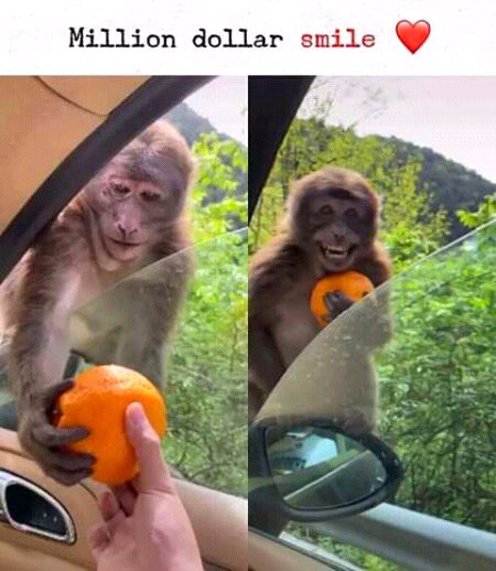 Million dollars Smile
