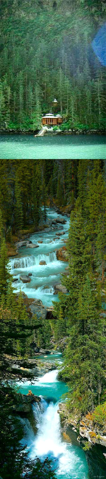 Beautiful Nature image