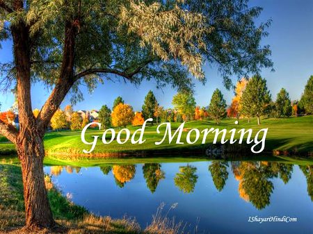 Have a nice day 💞