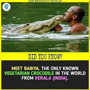 Did you Know
