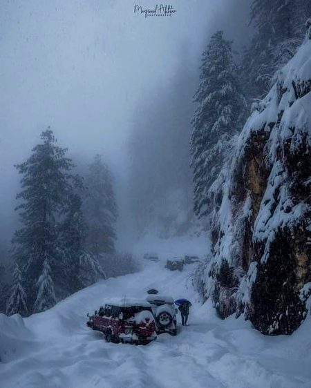 Beautiful Nature image