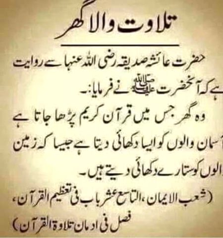 Islamic Quotes image