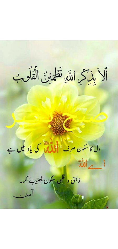 Beshy ap kia kehty hen