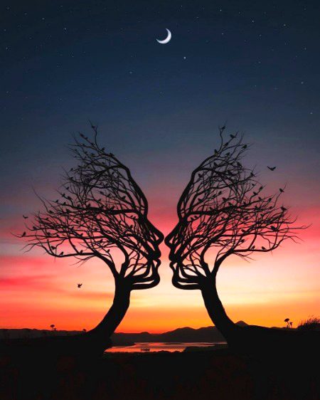 𝑰 𝒘𝒊𝒍𝒍 𝒍𝒐𝒐𝒌 𝒚𝒐𝒖 𝒇𝒓𝒐𝒎 𝒆𝒗𝒆𝒓𝒚 𝒍𝒊𝒇𝒆𝒕𝒊𝒎𝒆 𝒂𝒏𝒅 𝒍𝒐𝒗𝒆 𝒚𝒐𝒖 𝒕𝒉𝒆𝒓𝒆 ❤️
.