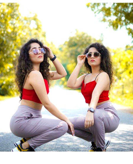 Here is Twinss