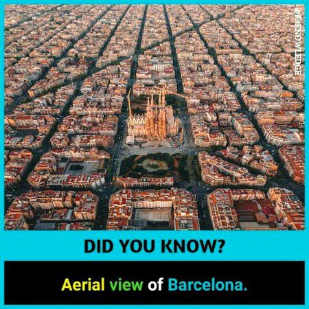 Did you Know