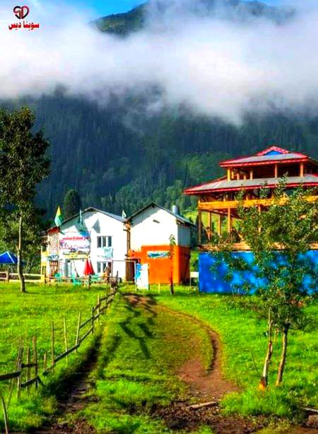 Beauty neelum valley😍