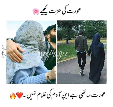 •||•^°°°°^°°•||•