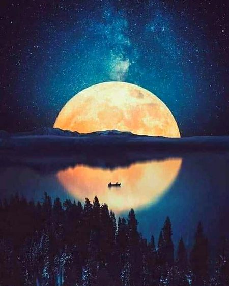 🌺🌺🌼🌼🍁🍁🌹🌹