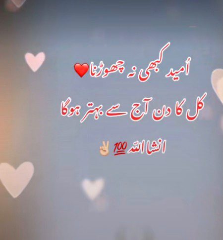 True 💯 lines